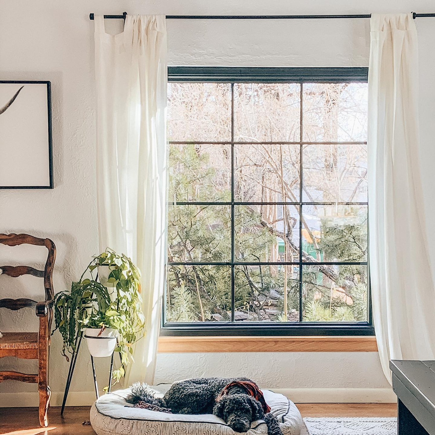 Renewal by Andersen black windows