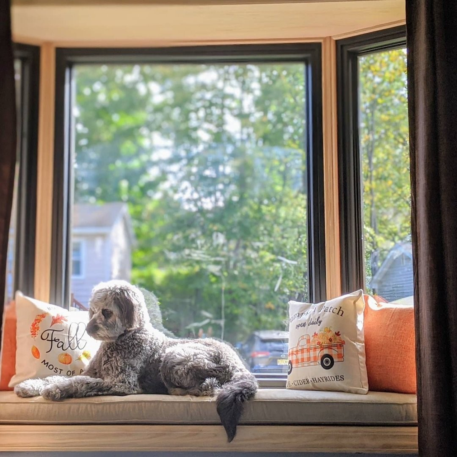 Renewal by Andersen black windows