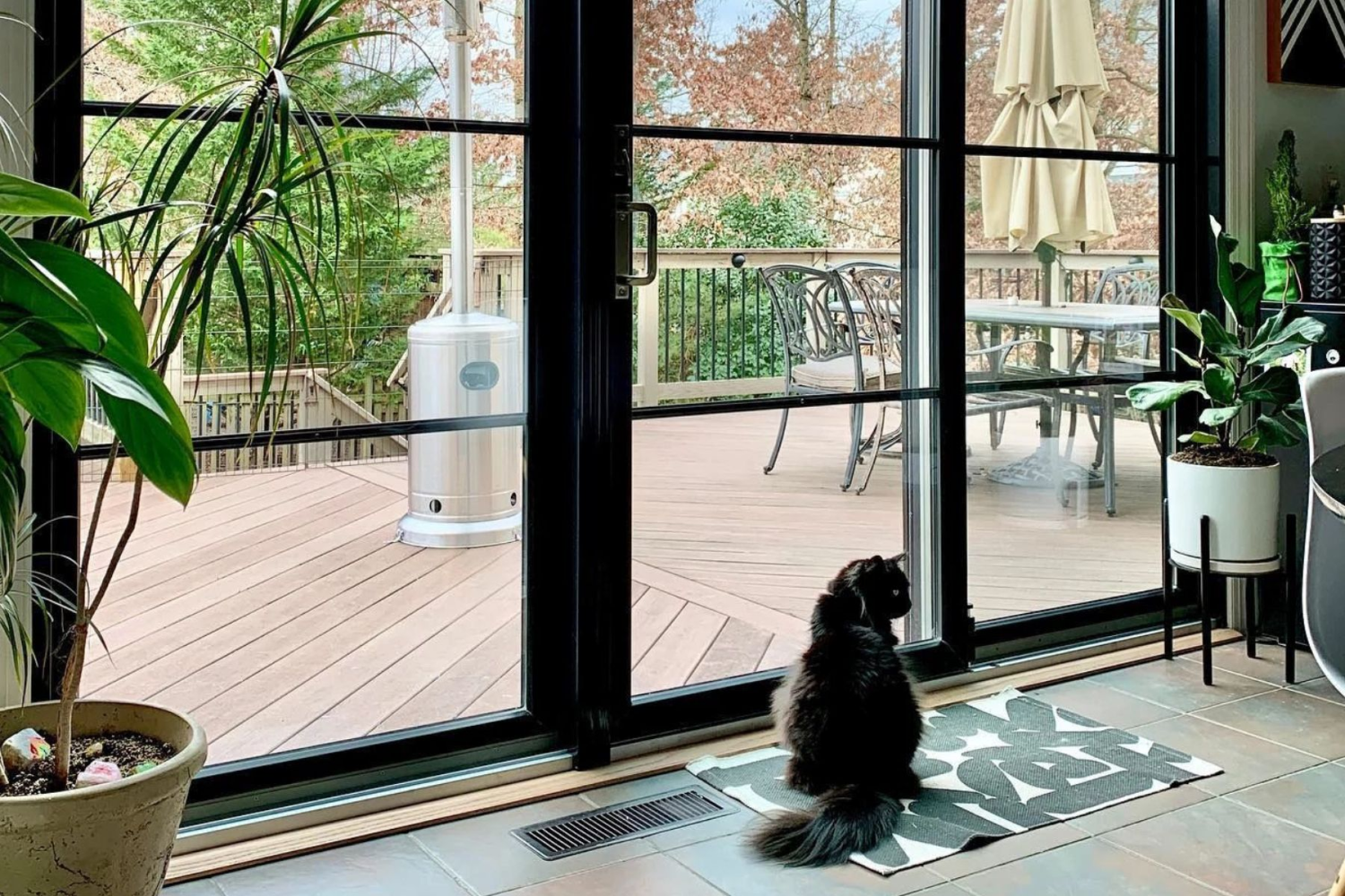 A cat staring outside a clear Renewal by Andersen windows