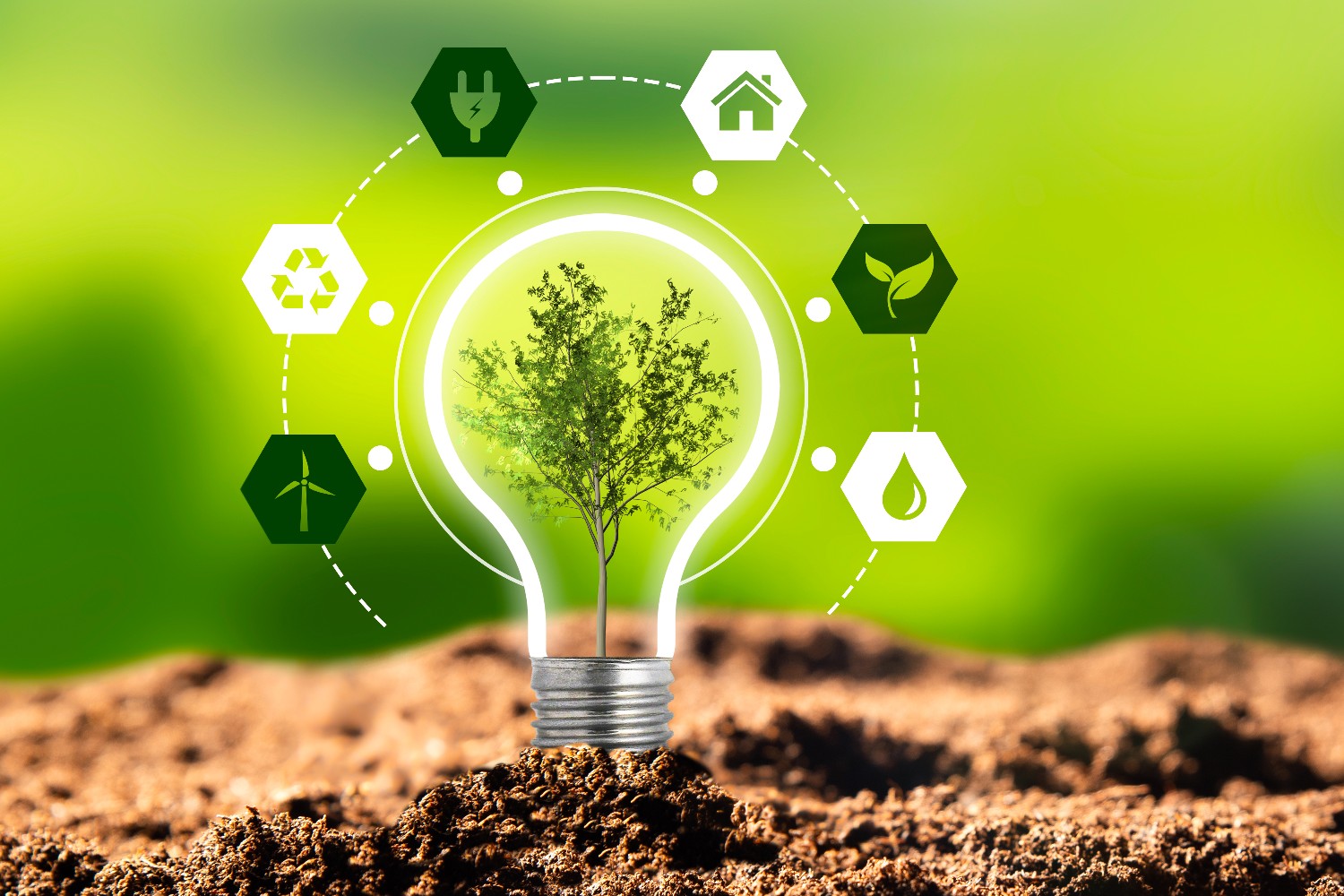 Renewal by Andersen is committed to sustainability